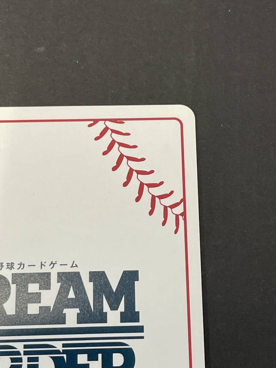 137-F42) Dream заказ тубус ...SP CBP03-DB02 2024 Professional Baseball карты 