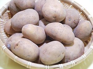 インカのめざめ お得用 5kg (サイズ無選別) 栗の様な甘いじゃがいも インカの目覚め ※只今発送中_画像6