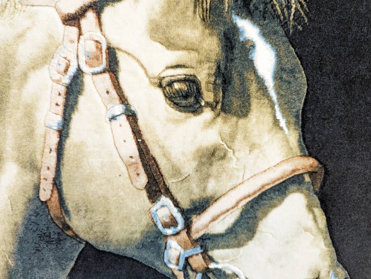 【美品★額入り高級ペルシャ手織り絨毯】タブリーズ産 馬絵 手織り 鑑定書有 タクテジャムシッド工房 ウール&シルク_画像3