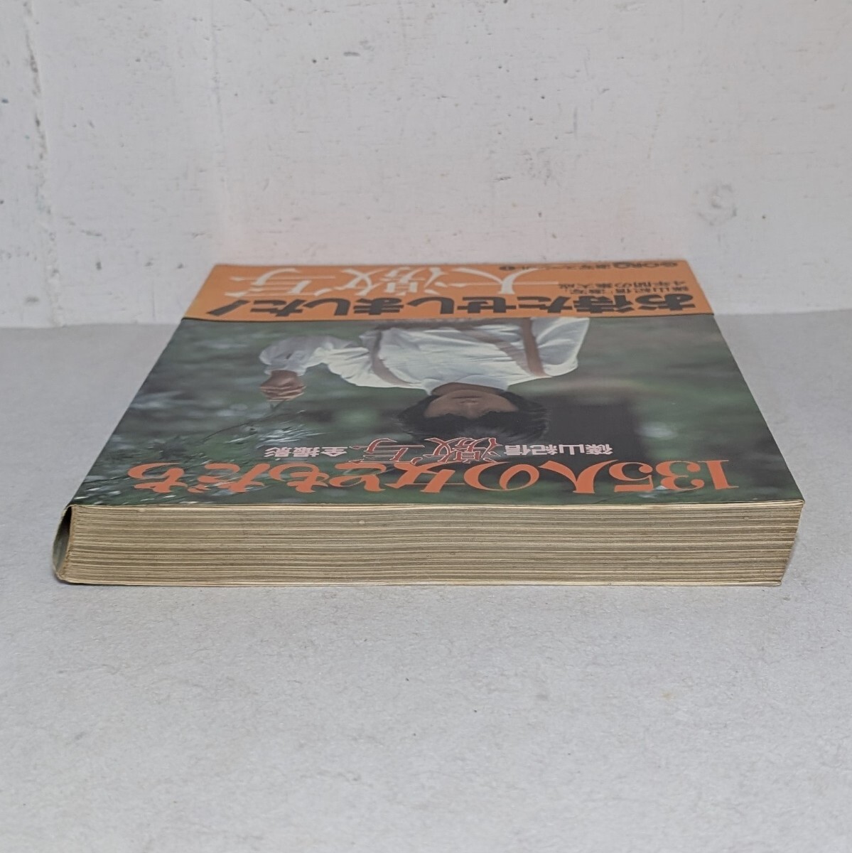 GORO 激写スペシャル① 篠山紀信全撮影 激写・135人の女ともだち 　小学館　_画像7