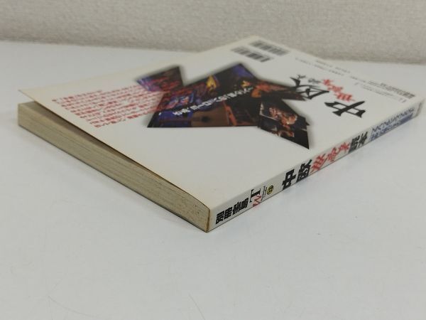 462-C34/中欧世紀末読本/別冊宝島WT/宝島社/1997年/最後のヨーロッパ中欧の魅力に大接近 プラハ、ワルシャワ、ブダペスト_画像6