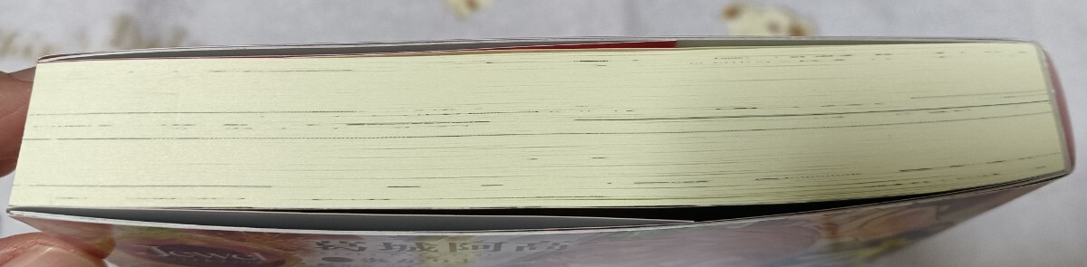オジサマ王弟軍人は若き侯爵令嬢の一途な愛に陥落寸前です。　葛城阿高　炎かりよ_画像3