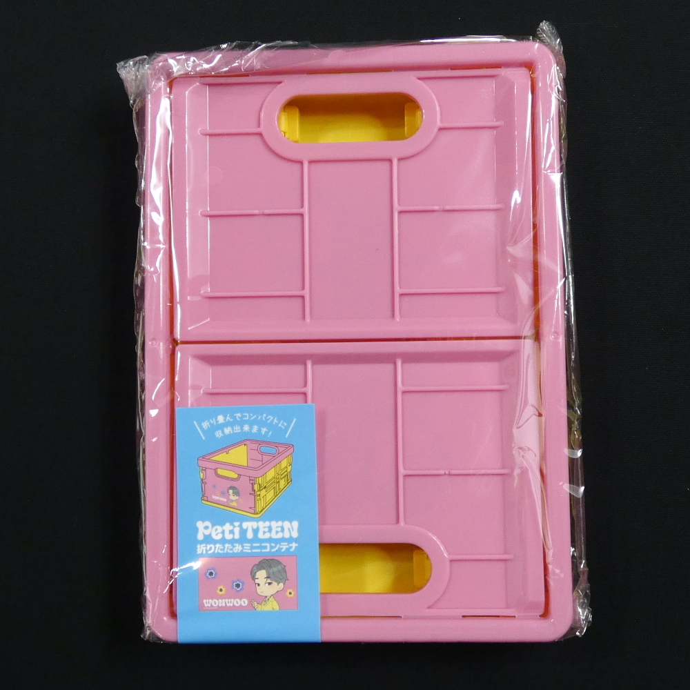 未使用 SEVENTEEN Peti TEEN WONWOO ウォヌ 5種セット まとめ売り 推し活 グッズ スマホリング ミニコンテナ 推守アクスタポーチ_画像7