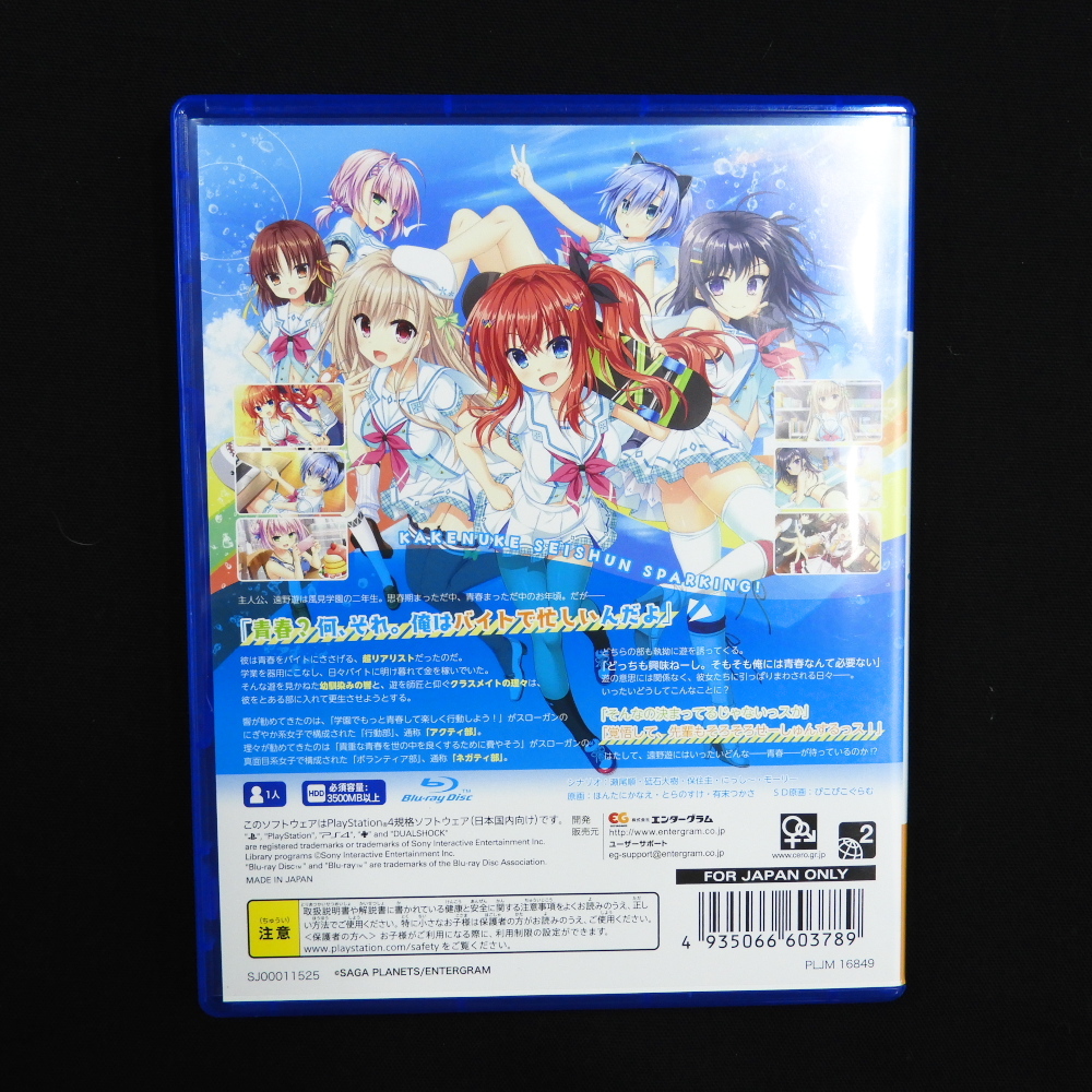 PS4 かけぬけ青春スパーキング プレイステーション4用ソフト 動作確認済み ゲーム 学園 アクティ部 ネガティ部 エンターグラム_画像3