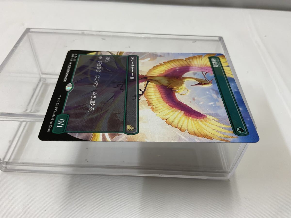 A668 未使用 中古 トレカ マジックザギャザリング MTG 日本語 ボーダーレス 極楽鳥 432 RVR・JP_画像5