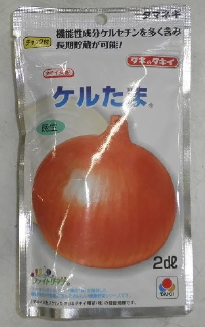 失敗知らずのプロ苗◆玉ねぎ『ケルたま』◆100本+おまけ20本程度　送料込み☆_画像5