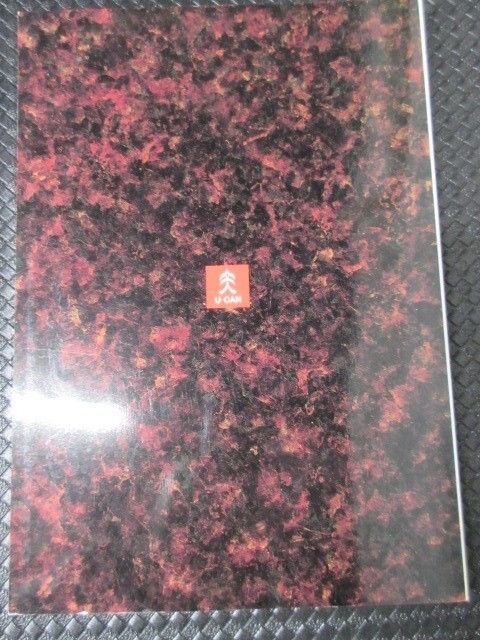 ユーキャン ユネスコ 世界遺産 鑑賞ガイド 品川惠保 U-CAN UNESCO フルカラー 解説 観光 趣味 文化 世界 冊子 50周年 記念 作品 読書 美品_画像4