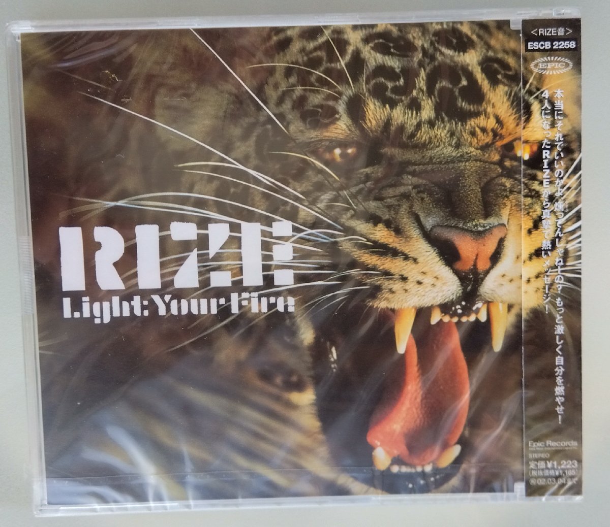 CD:RIZElaiz/Light Your Fire новый товар нераспечатанный CD:RIZElaiz/Light Your Fire новый товар нераспечатанный