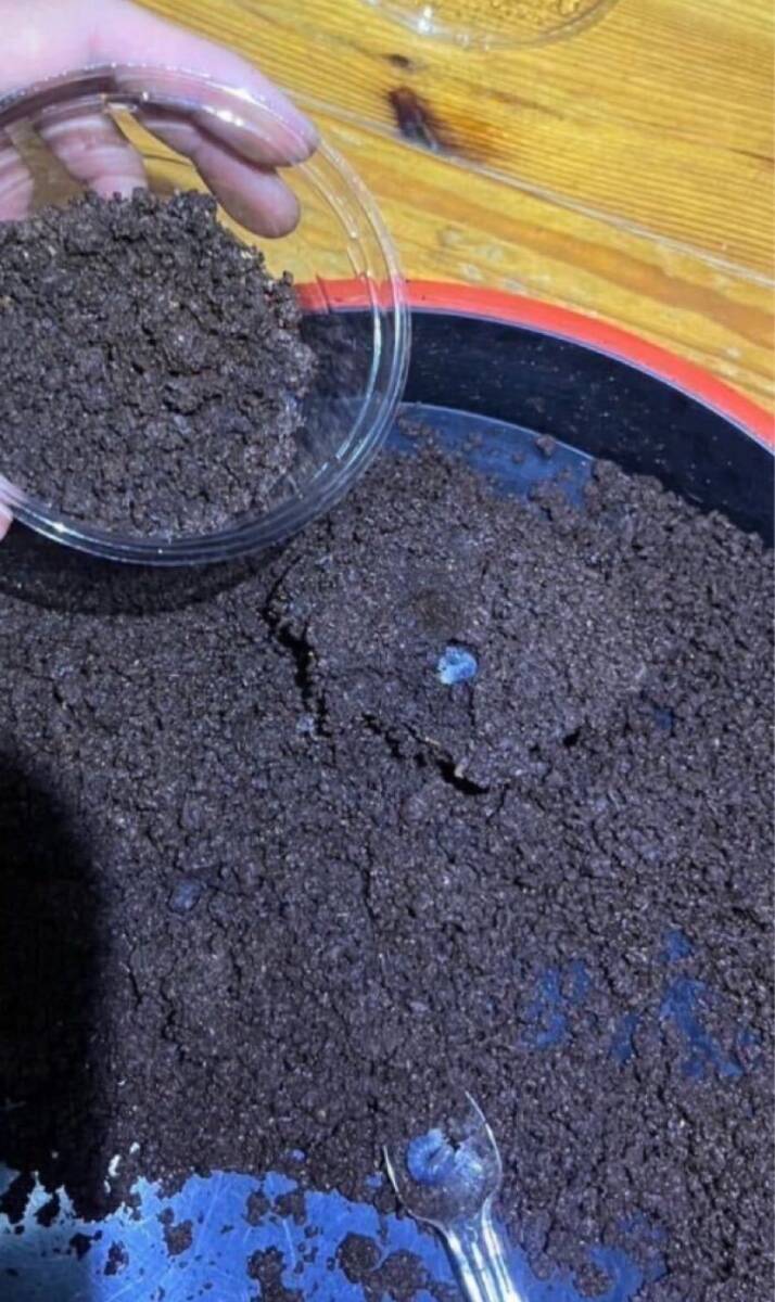 красный .. коврик красный галет 10 литров sdajii maru spring коврик maru spring рогач nebto рогач yaeya мама ru spring amami maru spring блеск kwa