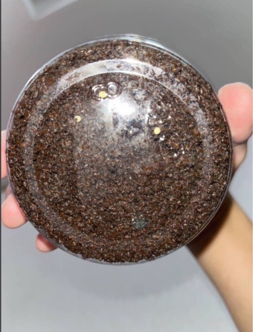 красный .. коврик красный галет 10 литров sdajii maru spring коврик maru spring рогач nebto рогач yaeya мама ru spring amami maru spring блеск kwa