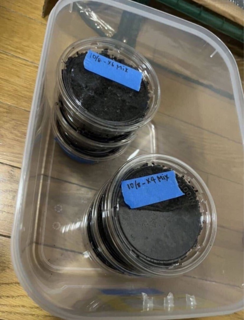 красный .. коврик красный галет 10 литров sdajii maru spring коврик maru spring рогач nebto рогач yaeya мама ru spring amami maru spring блеск kwa