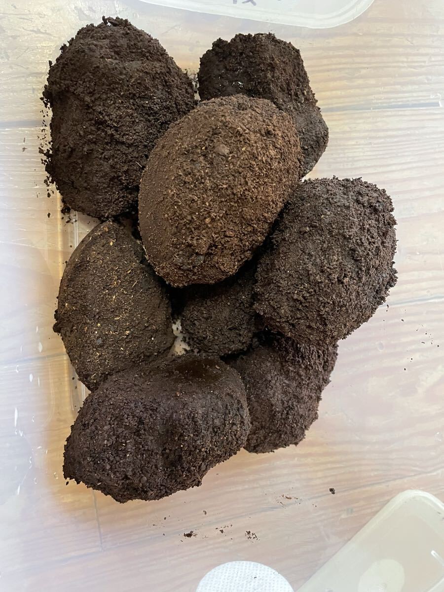  красный .. коврик красный галет 10 литров sdajii maru spring коврик maru spring рогач nebto рогач yaeya мама ru spring amami maru spring блеск kwa