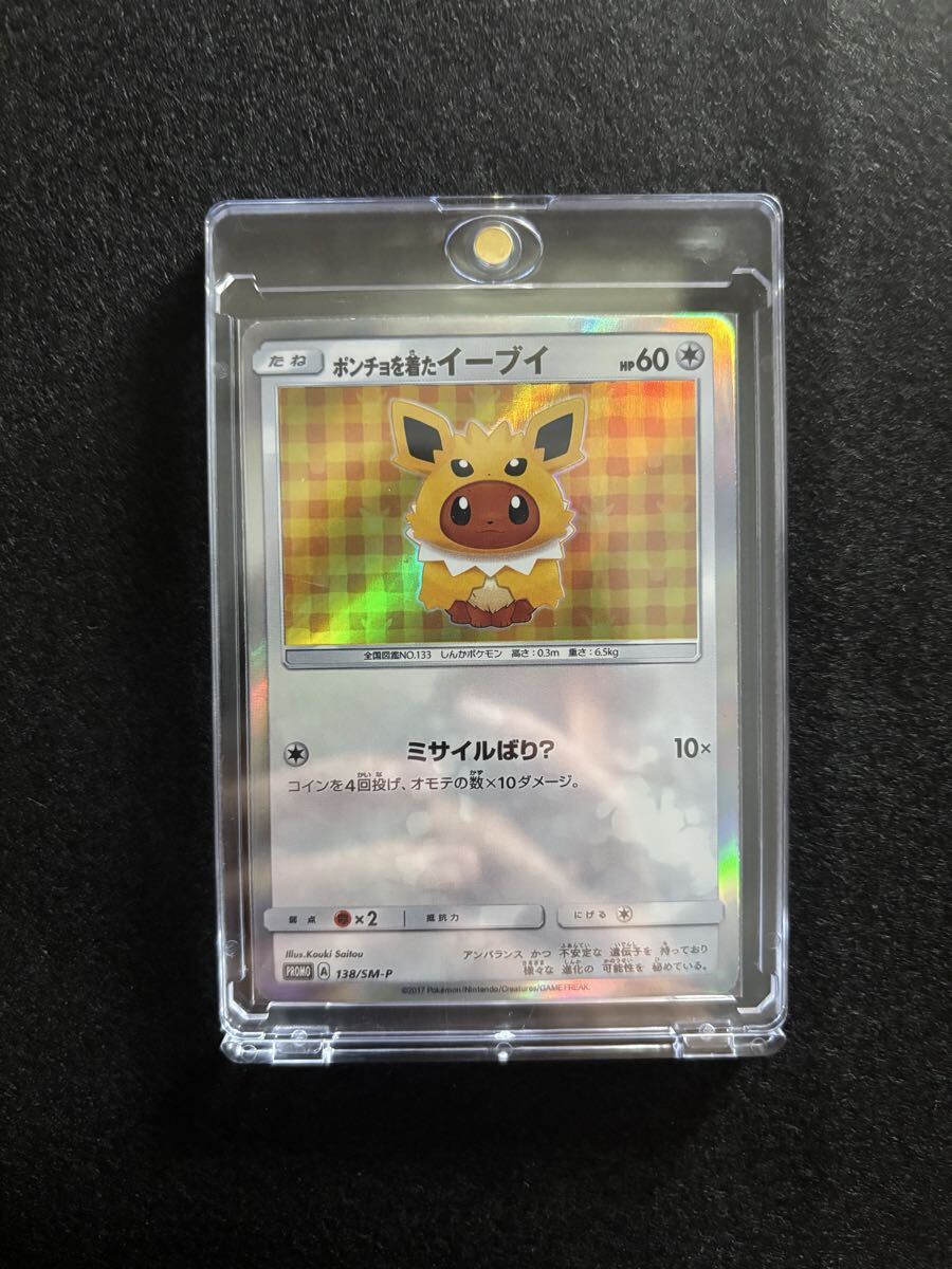 ポンチョを着たイーブイ サンダース_画像1