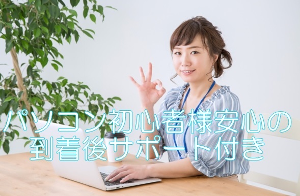 ☆簡単にできる Windows11 らくらくアップグレード最新版 要件回避対応 2枚組 特典付き☆_画像4