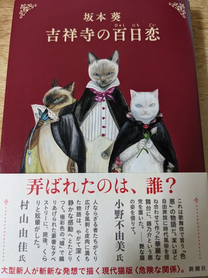 吉祥寺の百日恋 坂本葵 著 帯付き 2014年 初版 新潮社_画像1