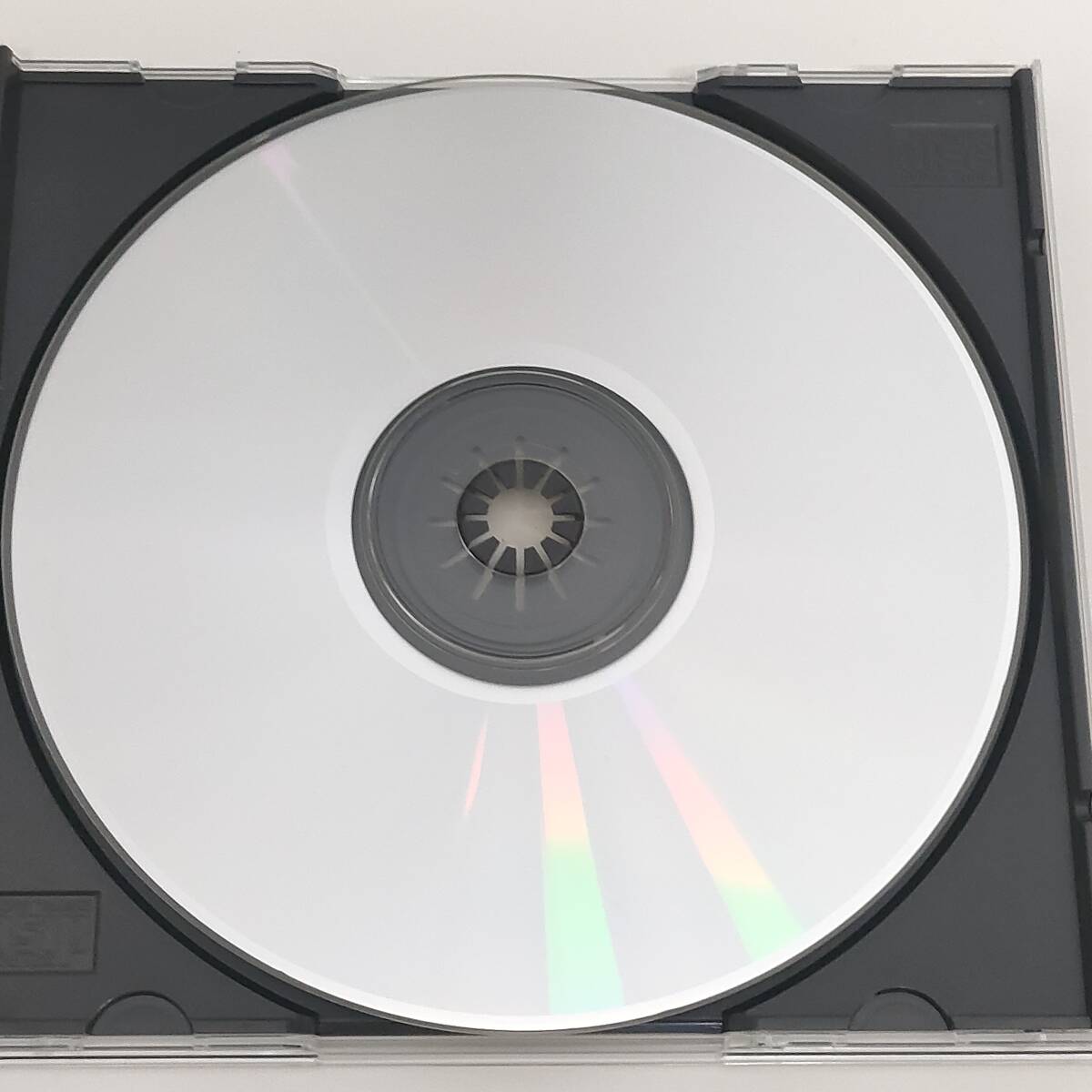 C132【CD】ザ・サンドラ・ディー　サンドラディー　The Sandra Dee　ロカビリー_画像5