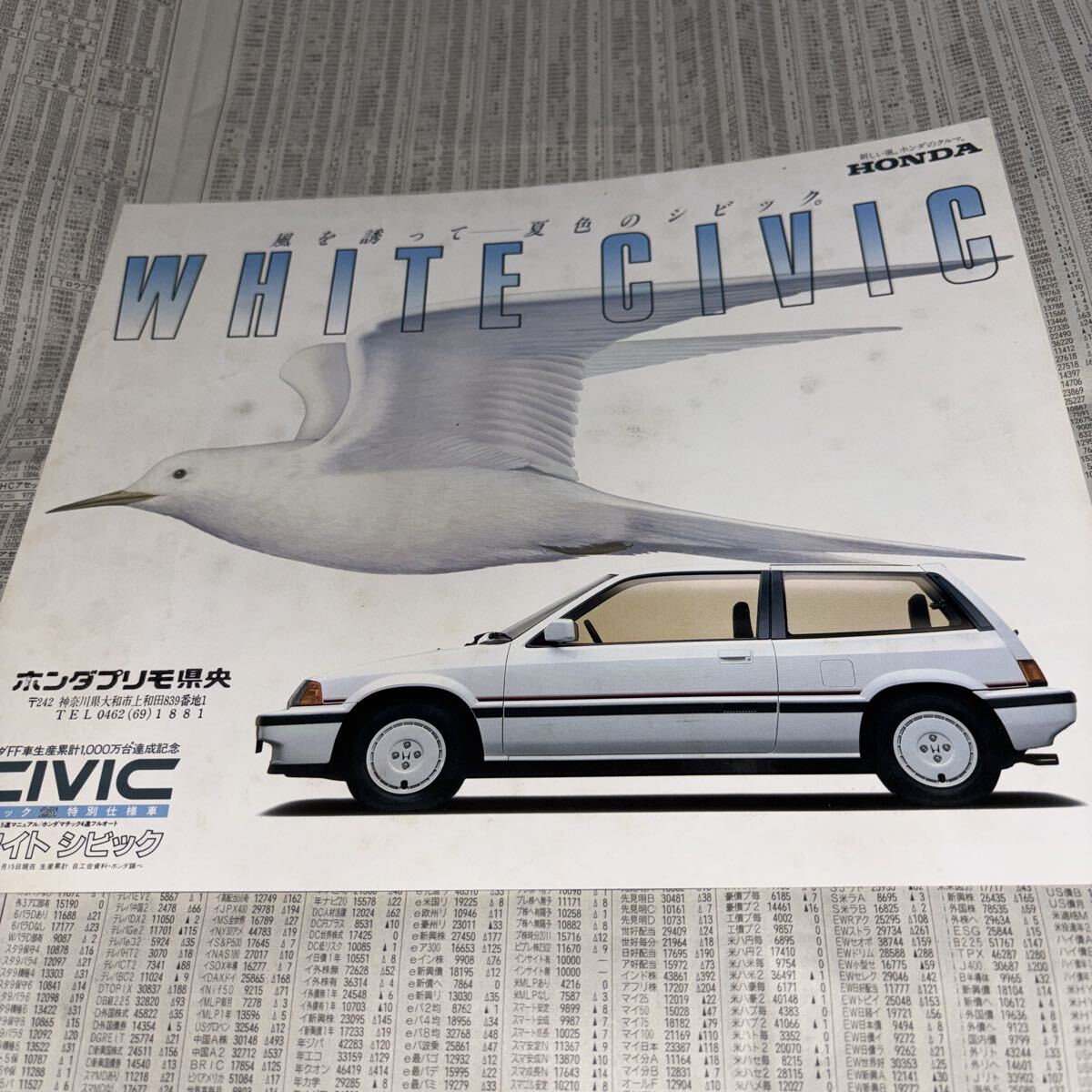 ホンダ シビック　特別仕様車　限定車　ホワイトシビック　カタログ_画像1