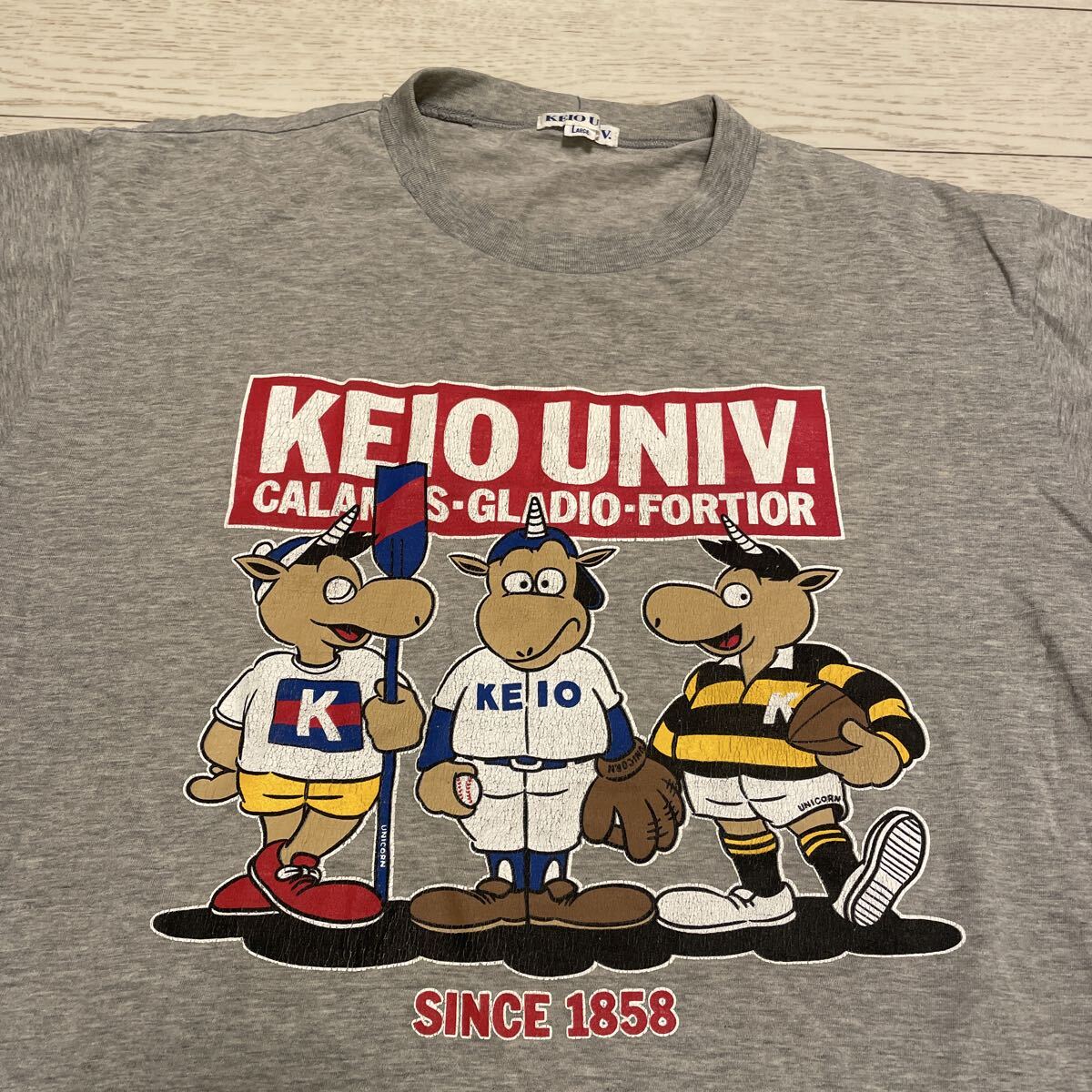 慶應義塾大学 半袖プリント Tシャツ サイズL_画像3