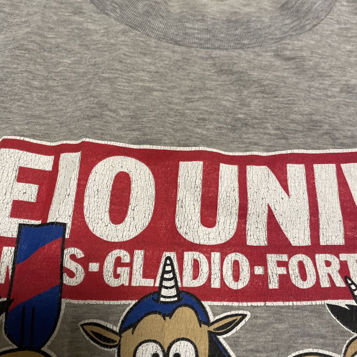 慶應義塾大学 半袖プリント Tシャツ サイズL_画像6