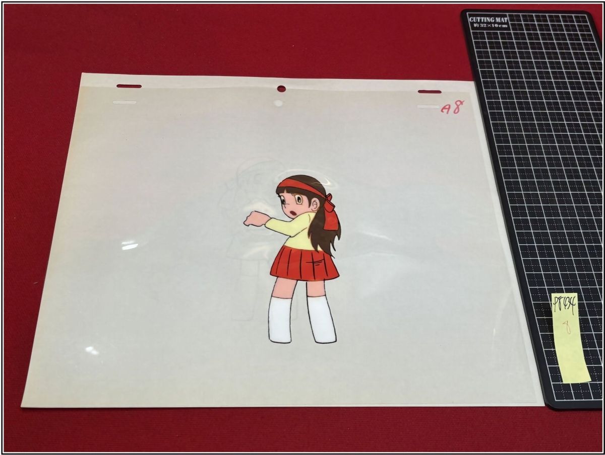 p8434[ цифровая картинка ][ Dokaben *sachiko( гора рисовое поле sachi.) отвечающий . тот 8] вода остров новый . бейсбол Baseball 