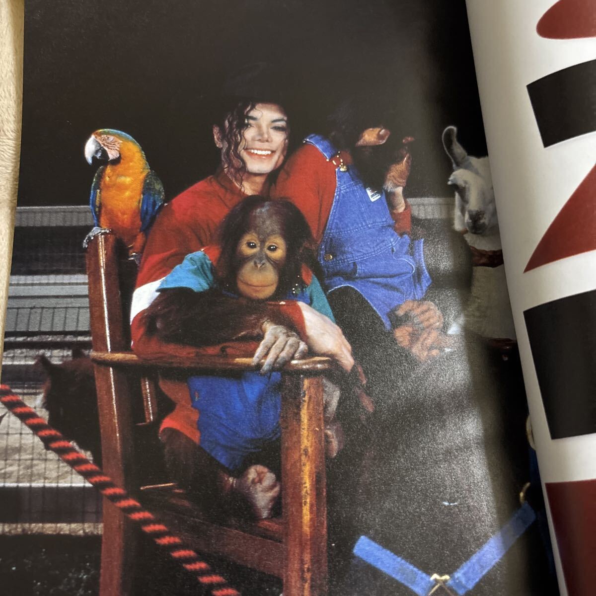 Cut マイケル・ジャクソン特集　1993 NO.25 11月号_画像8