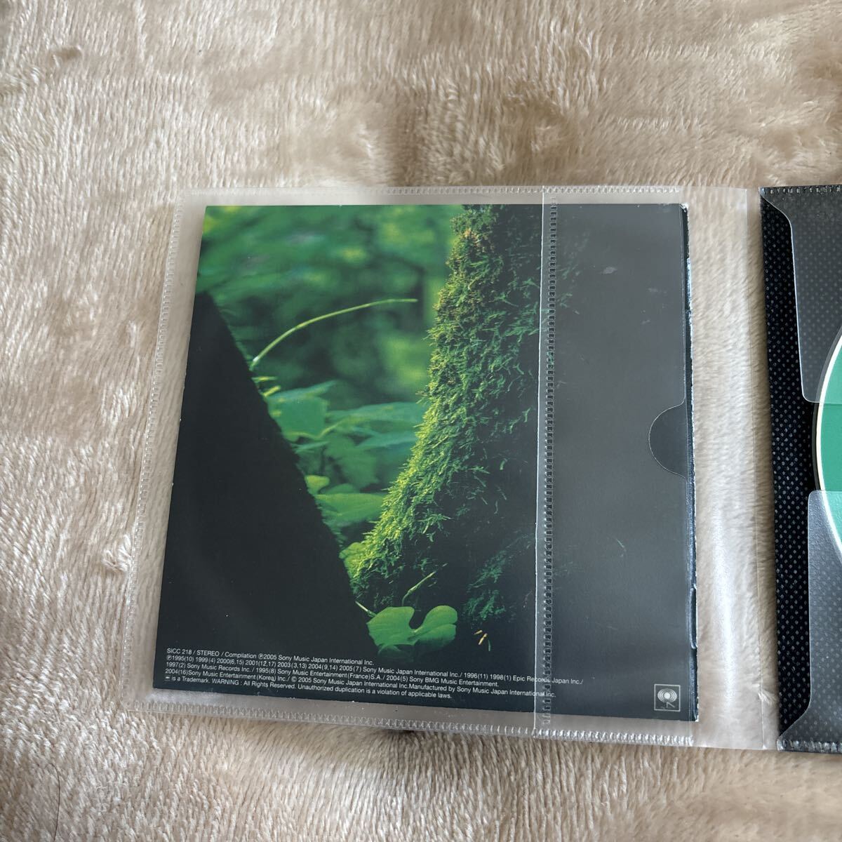 image essentielle_画像3