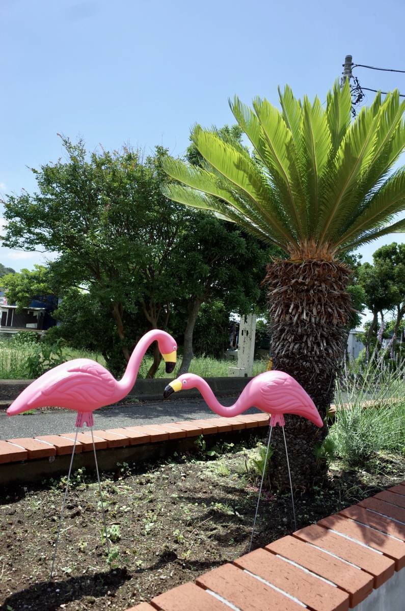  новый товар розовый фламинго 2 body комплект America производства садоводство Setagaya основа интерьер american house двор газонная трава сырой . магазин 