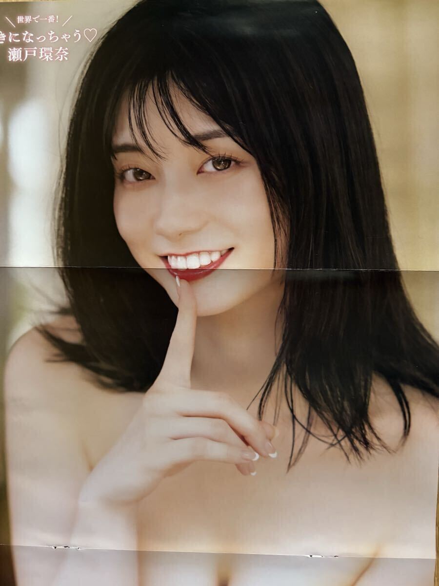 Seto ...... двусторонний постер