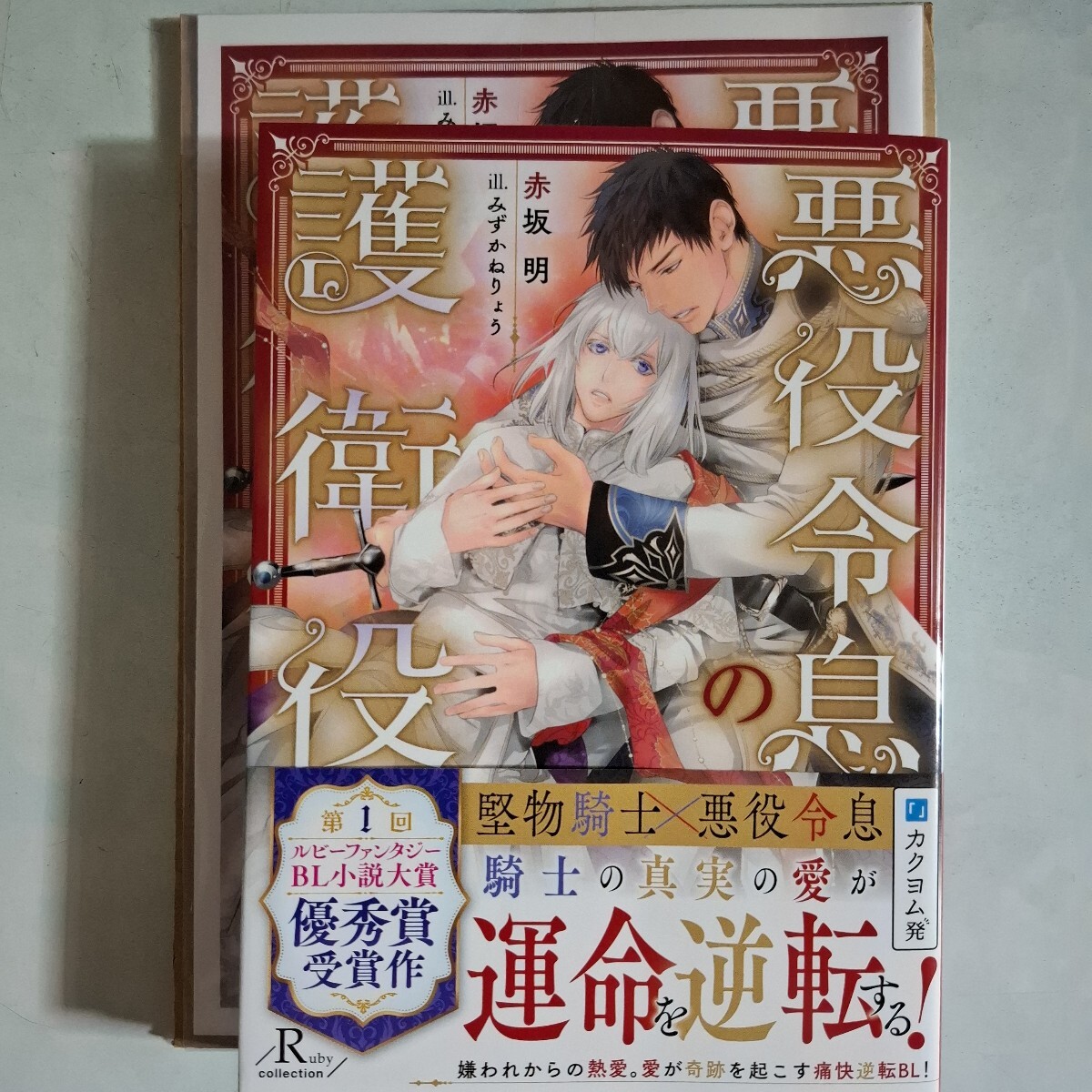 悪役令息の護衛役 （Ｒｕｂｙ　ｃｏｌｌｅｃｔｉｏｎ） 赤坂明／著 みずかねりょう_画像1
