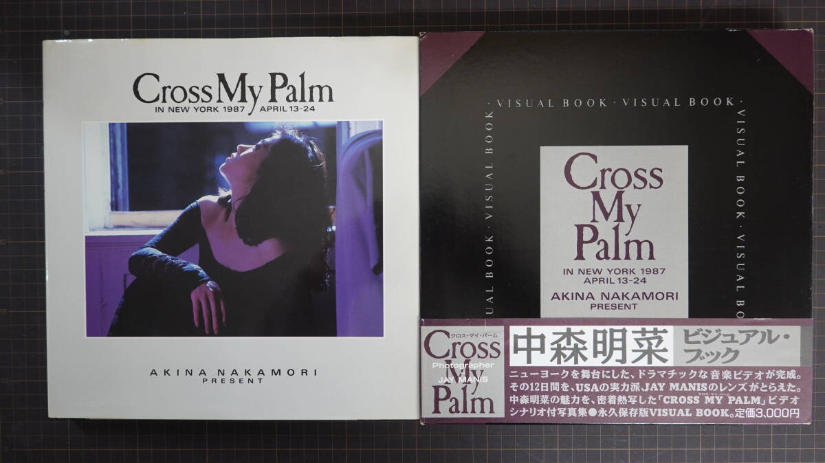 6197中森明菜写真集 ビジュアルブック「CROSS MY PALM クロスマイパーム」 ケース付き 帯付き_画像2