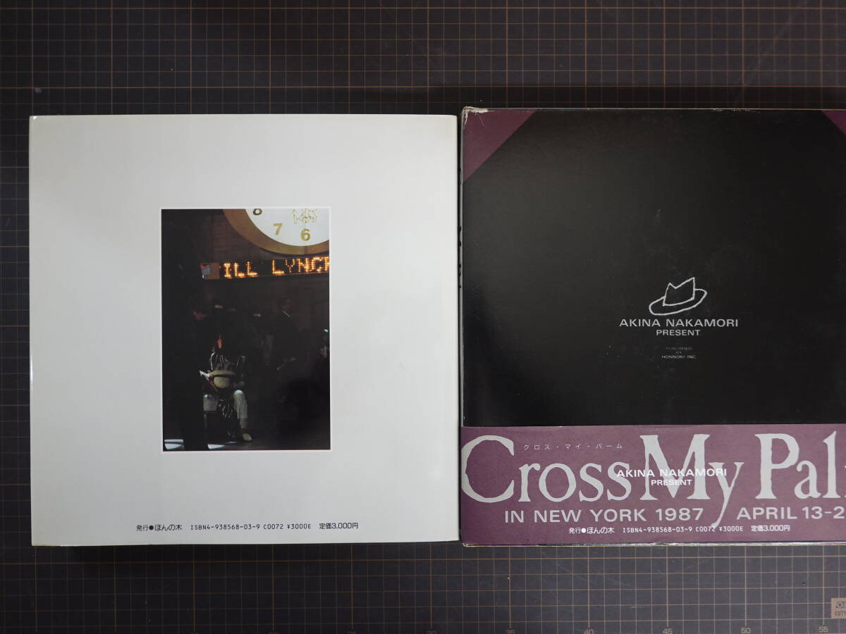 6197中森明菜写真集 ビジュアルブック「CROSS MY PALM クロスマイパーム」 ケース付き 帯付き_画像7