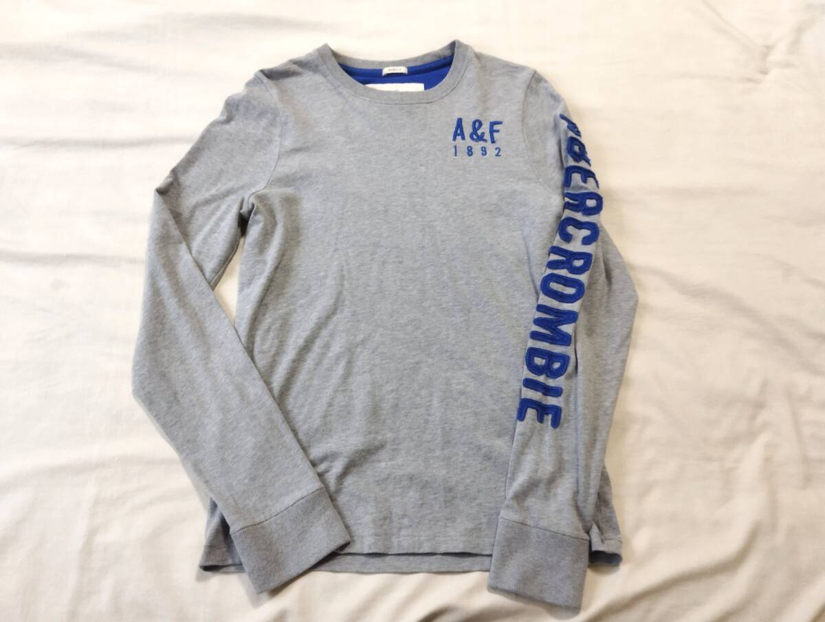 アバクロンビー＆フィッチ Abercrombie＆Fitch TシャツL_画像1