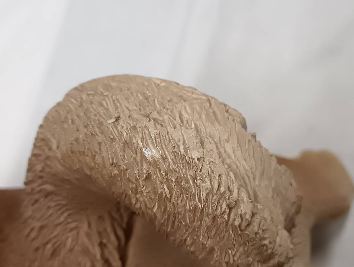 k5 柴犬の置物　23 x 11cm 高さ 14cm_画像9