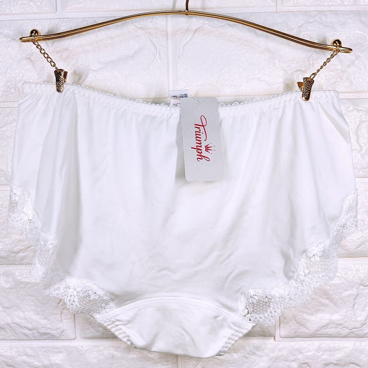 新品　トリンプ　レッドレーベル0100 ブラ＆ショーツセット　C70M_画像10