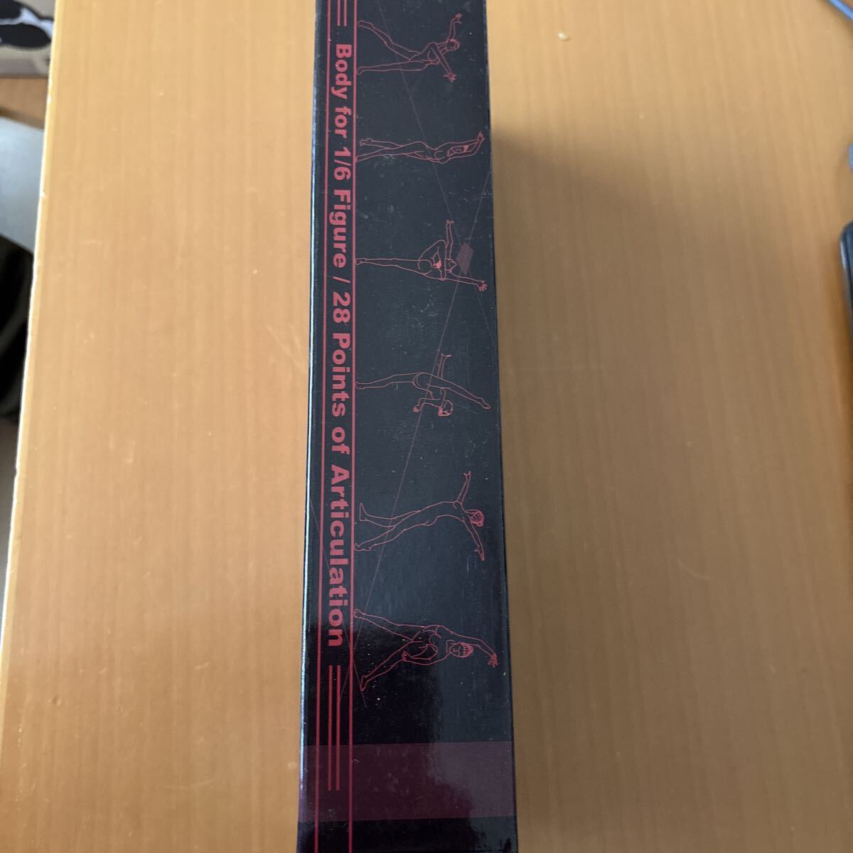 SUPER FLEXIBLE FEMALE SEAMLESS BODY _画像4