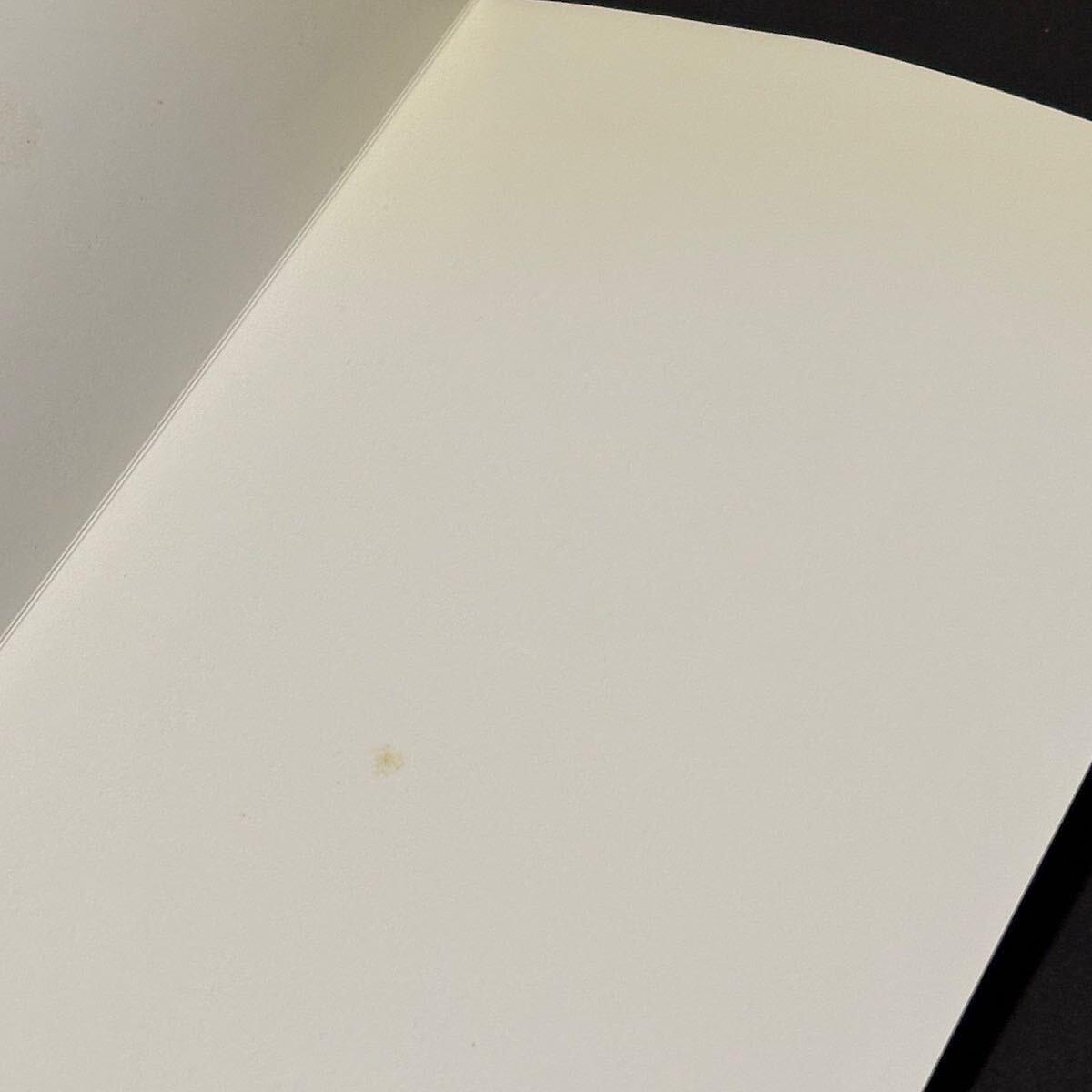 天外魔境 第四の黙示録 公式ガイドブック / アスキー アスペクト ファミ通 セガサターン SS 攻略本 1997年 初版本_画像3