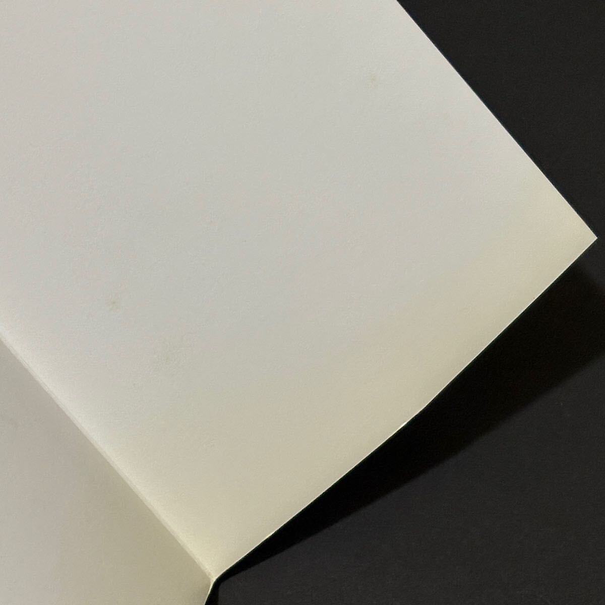 天外魔境 第四の黙示録 公式ガイドブック / アスキー アスペクト ファミ通 セガサターン SS 攻略本 1997年 初版本_画像4