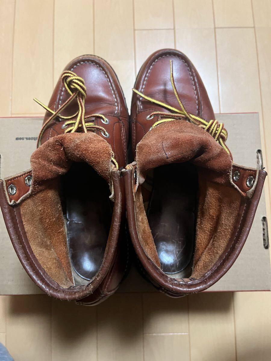 REDWING アイリッシュセッター_画像4