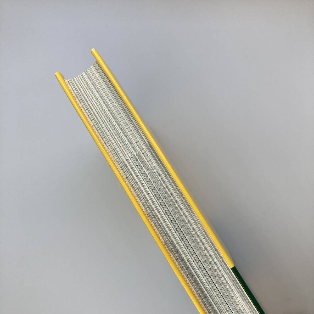 チャゲアスCHAGE&ASKAファンクラブ限定品「YEAR BOOK2007」_画像3