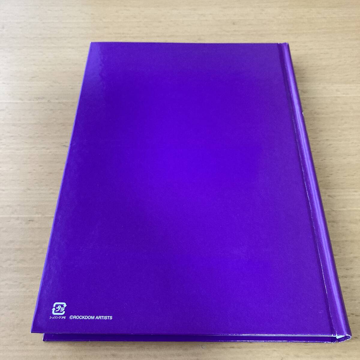 チャゲアスCHAGE&ASKAファンクラブ限定品「YEAR BOOK2008」_画像2