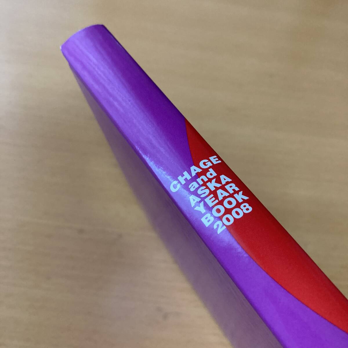 チャゲアスCHAGE&ASKAファンクラブ限定品「YEAR BOOK2008」_画像3