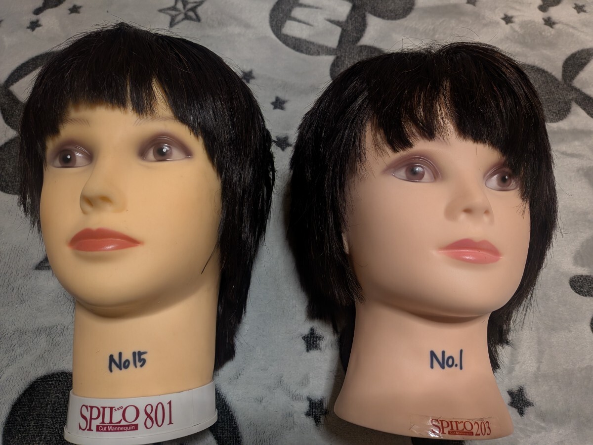 美容師 練習用 カットウィッグ ヘッドマネキン SPILO203 (No.1)、SPILO801(No.15)【2体セット送料無料】_画像1