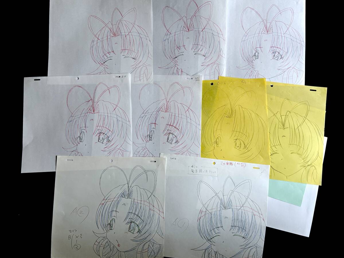 ディアーズ DearS 直筆 原画 12枚セット／アニメ 動画 セル画 レイアウト 原動画 生原画 肉筆 等／Anime Sketch Cel_画像2