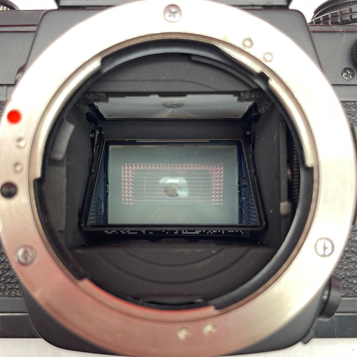 ◎54 OLYMPUS OM-4 OM-SYSTEM ZUIKO AUTO-MACRO 50mm F3.5 フィルム一眼レフカメラ 動作品 1円スタート オリンパス_画像9