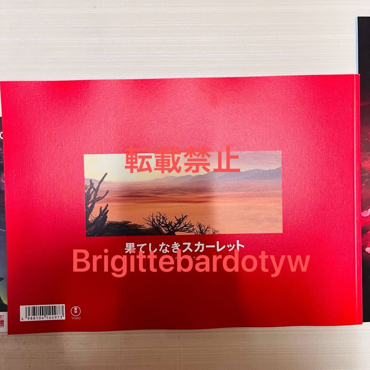 未読 映画 果てしなきスカーレット パンフレット 細田守 芦田愛菜 岡田将生 山路和弘 柄本時生 青木崇高 染谷将太 白山乃愛 白石加代子_画像2