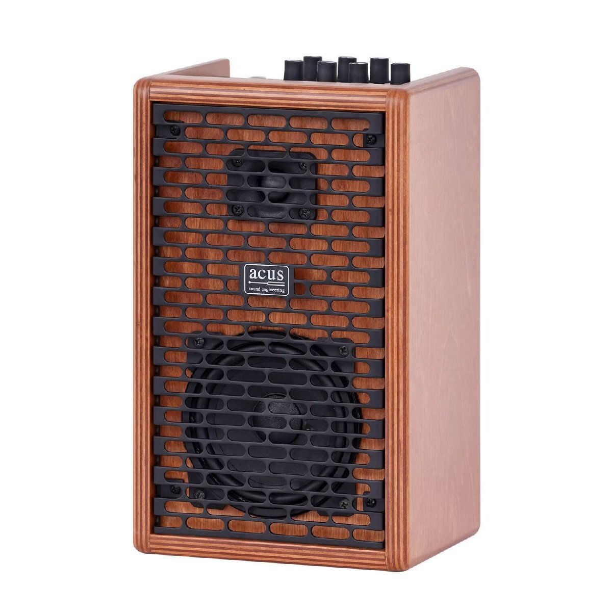  витрина экспонирование новый товар acus sound engineering ONE FORSTRINGS 4 FERDIa course акустическая гитара усилитель 