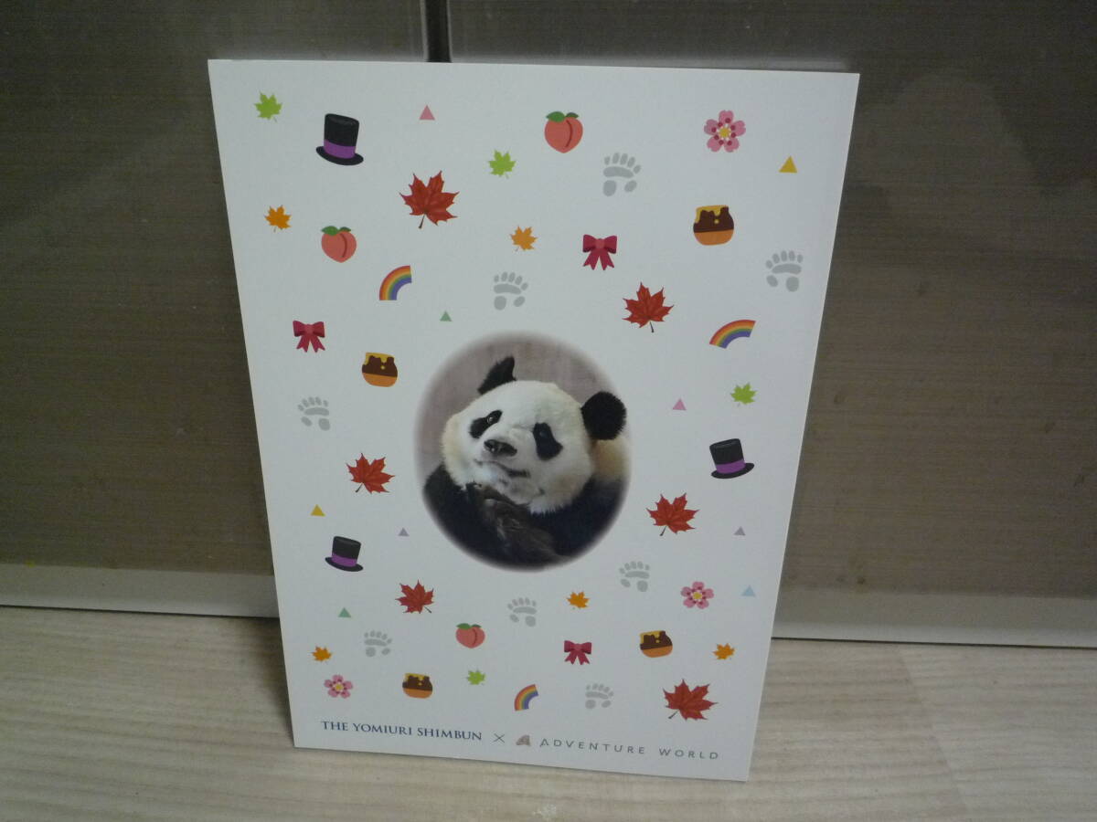 アドベンチャーワールド　PandaDiary 楓浜、彩浜、結浜、良浜、白浜のパンダファミリー_画像2