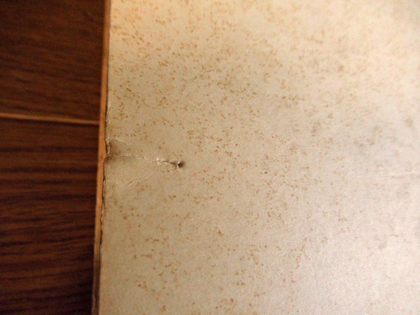 全訳 ラーマクリシュナの福音 函入り 日本ヴェーダーンタ協会 初版 BB53_画像3