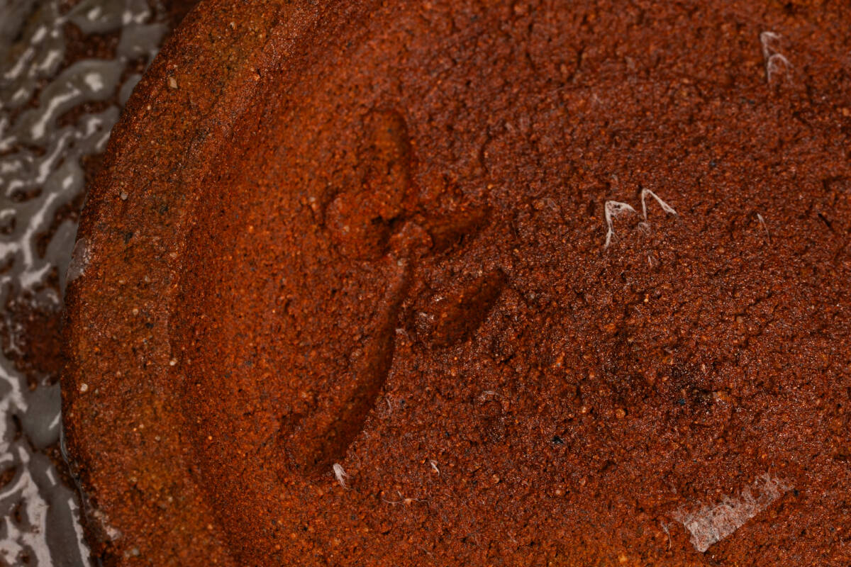 中里 重利 絵唐津 火入れ 「茶道具・火入」共箱 2【真作保証】送料無料_画像8