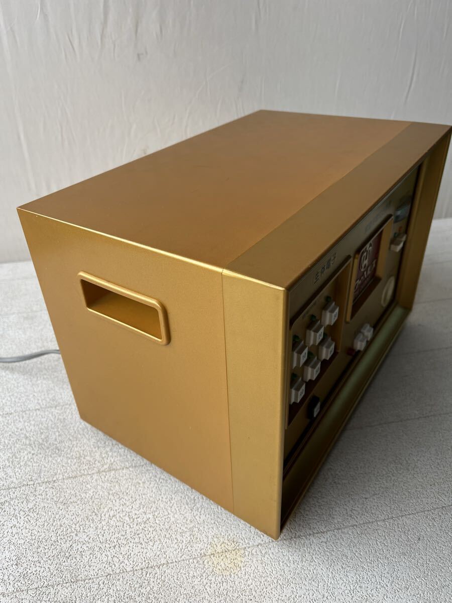 パワーヘルス PH-14000 家庭用 電位治療器 通電確認済_画像6